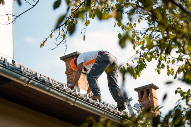 Best Roof Leak Repair  in Rocky Point, WA