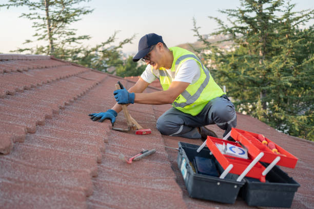 Best Local Roofing Companies  in Rocky Point, WA