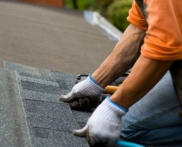 Best Roof Maintenance Services  in Rocky Point, WA